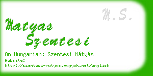 matyas szentesi business card