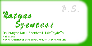 matyas szentesi business card